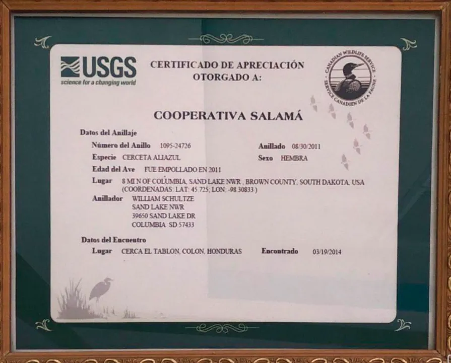 Reconocimientos Cooperativa Agropecuaria Salama Ltda.