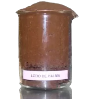 LODO DE PALMA COOPERATIVA SALAMA TOCOA